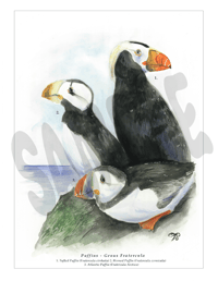 Image 1 of Puffin Trio Print