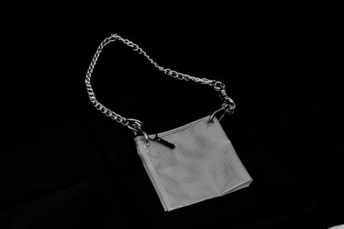 Image of The Doctor’s Bag (4 Ronx)