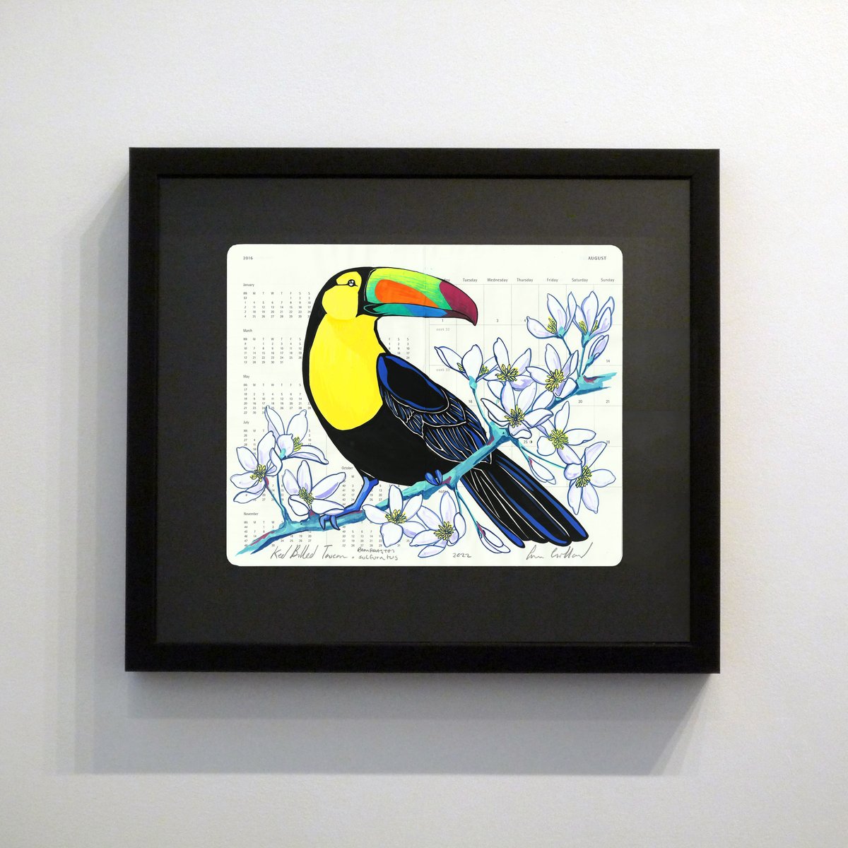 Image of Keel Billed Toucan and Clematis