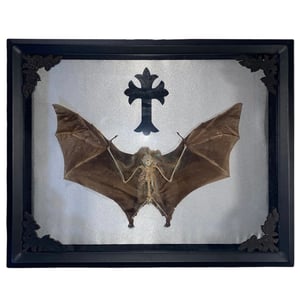 Image of Holy Half Bat Skeleton