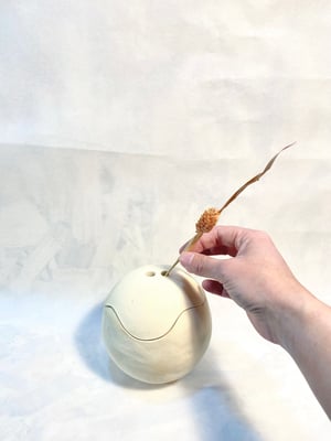 Image of Ball - jar and box