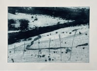 Winter’s Allotment