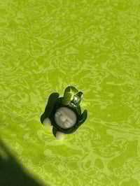 green devil bb