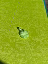 satin clover
