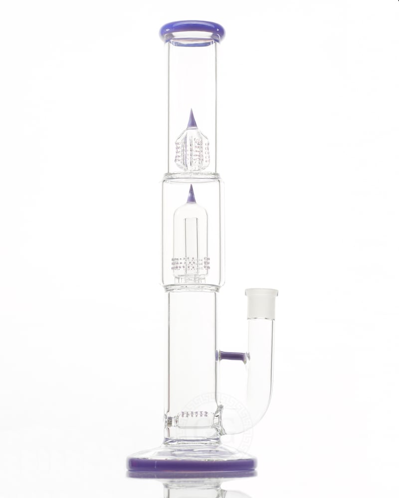 Image of Kingstem Dome Perc