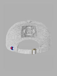 Image 2 of TERTIARY HAT