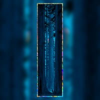 AVENUE OF THE GIANTS ~ LAVA FOIL ~ NIGHT