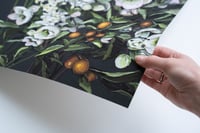 Image 3 of ORANGES AND WINTER FLOWERS - GICLÉE PRINT 