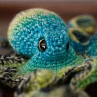 Image 3 of Opulent Octopus