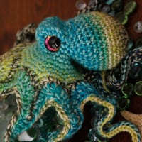 Image 4 of Opulent Octopus