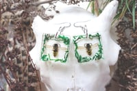 Image 1 of Dead Good Wasp earrings 