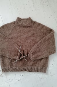 Image 1 of -- PATRON : PERCE-NEIGE Sweater --