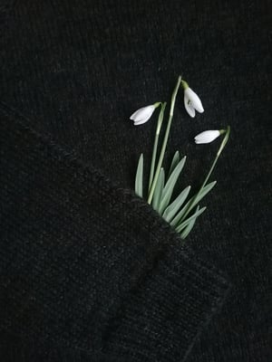 Image of -- PATRON : PERCE-NEIGE Sweater --