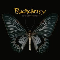 Buckcherry - Black Butterfly (CD) (Used)