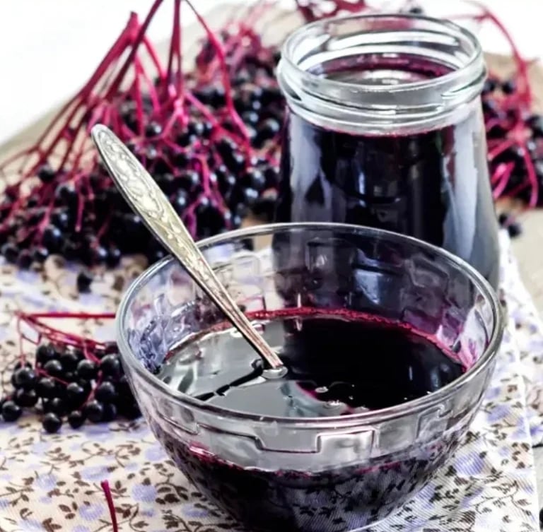 ELDER BERRY BOOST! Elderberries/Elderberry Syrup. Immunity-Herpes-Pathogens-Virus-Cell Protector-