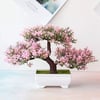 Bonsai Tree