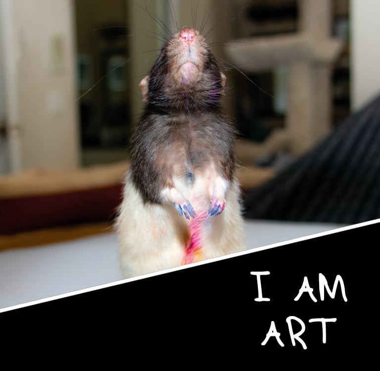 Image of Fibbs "I AM ART" Print