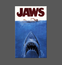Image 1 of JAWS