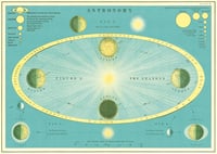 Cavallini & Co. Astronomy Chart Poster, Archival Paper, Matte