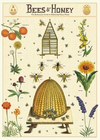 Cavallini & Co. Bees & Honey 2 Poster, Archival Paper, Matte