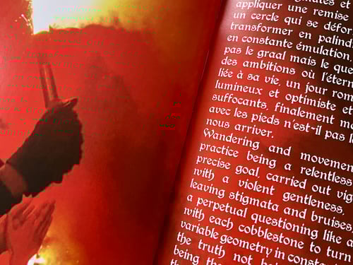 Image of EntoArmsFlora Fanzine (UB#15)