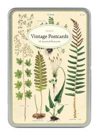 Image 1 of Cavallini & Co. Ferns Vintage Style Postcard Set