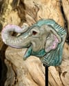 Asian Elephant