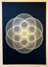 Hex Torus 