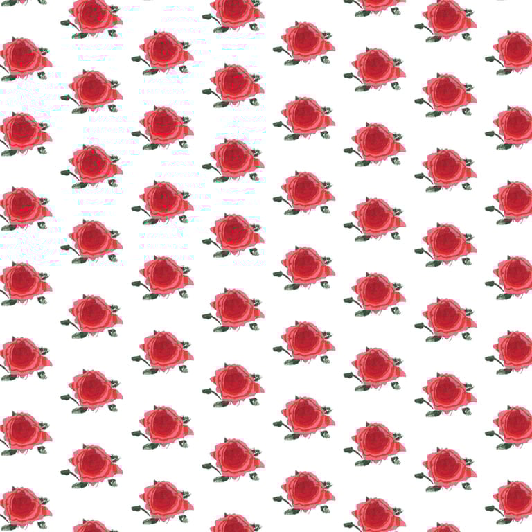 Image of SPRING gift wrap and occasion note card bundle