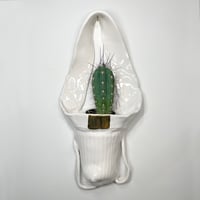 Image 2 of Wall-Hanging Used Jockstrap Planter with 22Kt Gold