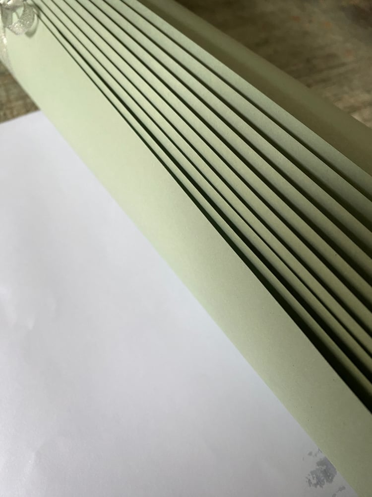 Image of 10 sheets of Wibalin Recycled paper in Lichen
