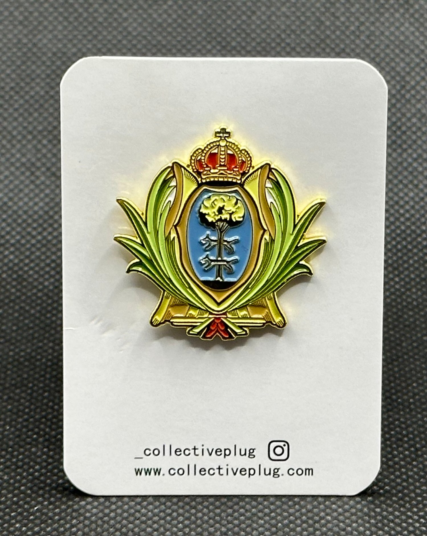 Pin on escudo