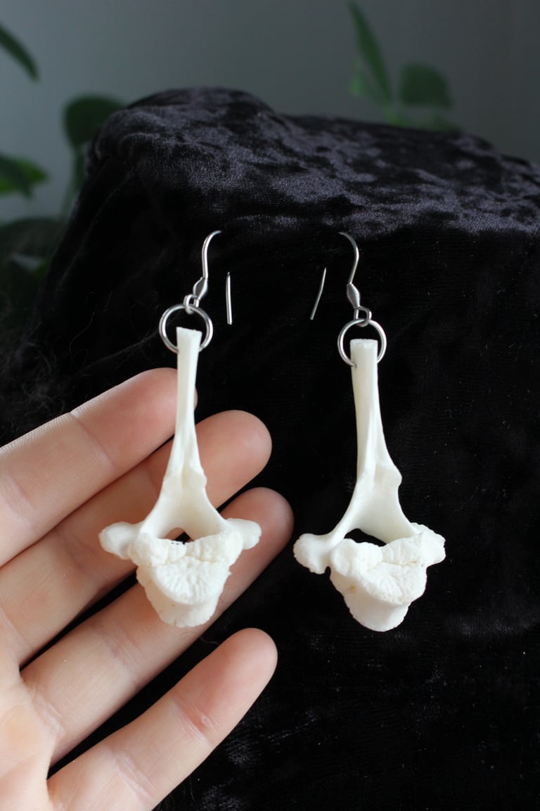 Dead Good vertebrae earrings Image 3