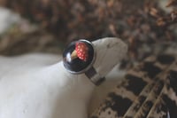 Image 1 of Dead Good mushroom ring 