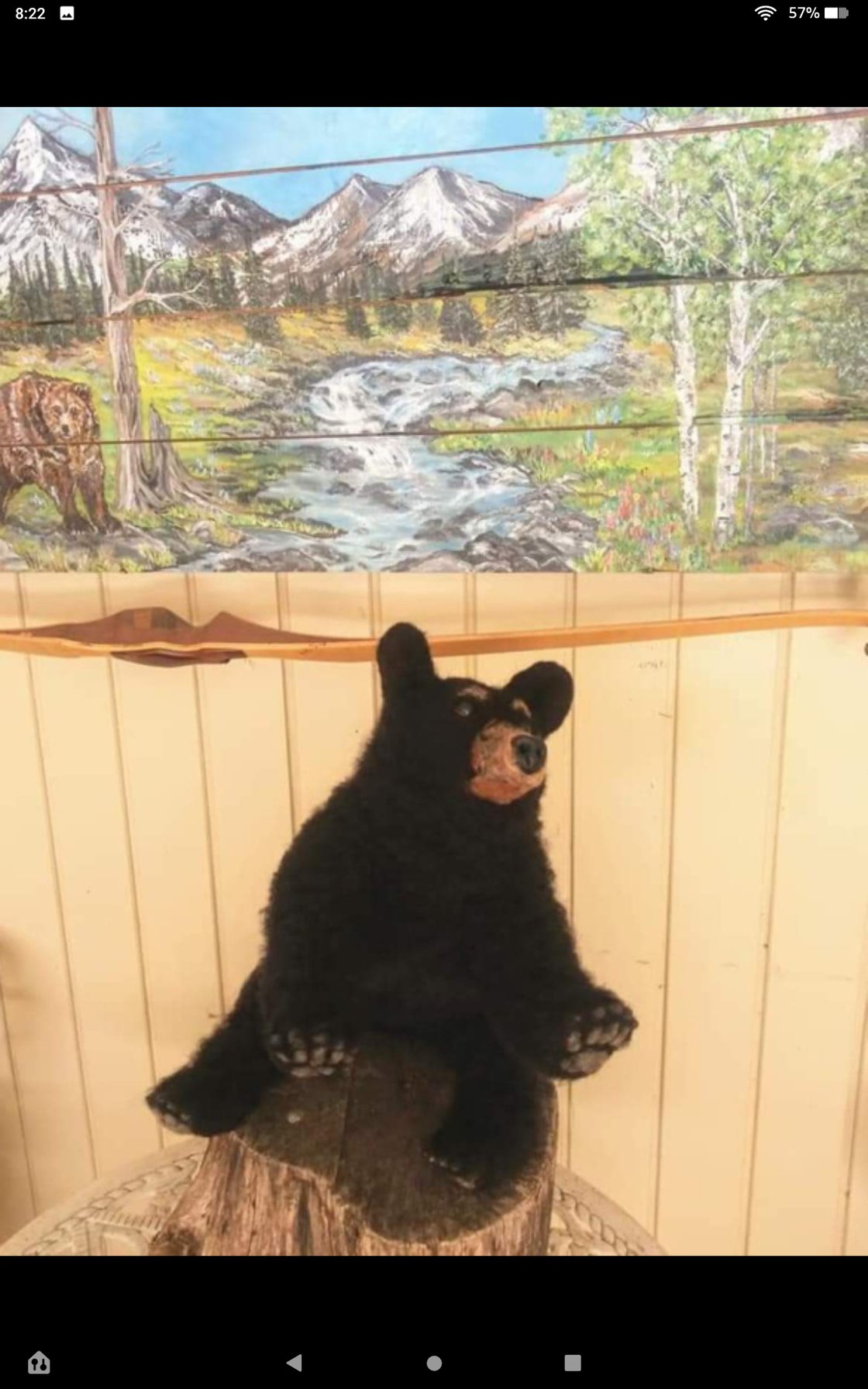 Image of 10" Small black bear cub