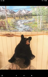 Image 2 of 10" Small black bear cub