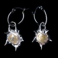 Image 1 of Umbonium Earrings