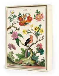 Image 1 of Cavallini & Co. Floral Boxed Note Cards, Assorted