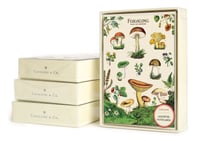 Image 3 of Cavallini & Co. Foraging Boxed Note Cards, Assorted