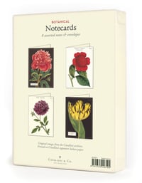 Image 2 of Cavallini & Co. Botanical Boxed Note Cards, Assorted