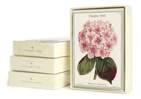 Image 2 of Cavallini & Co. Flower Thank You Boxed Note Cards