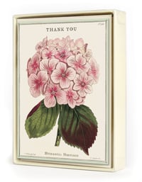 Image 1 of Cavallini & Co. Flower Thank You Boxed Note Cards