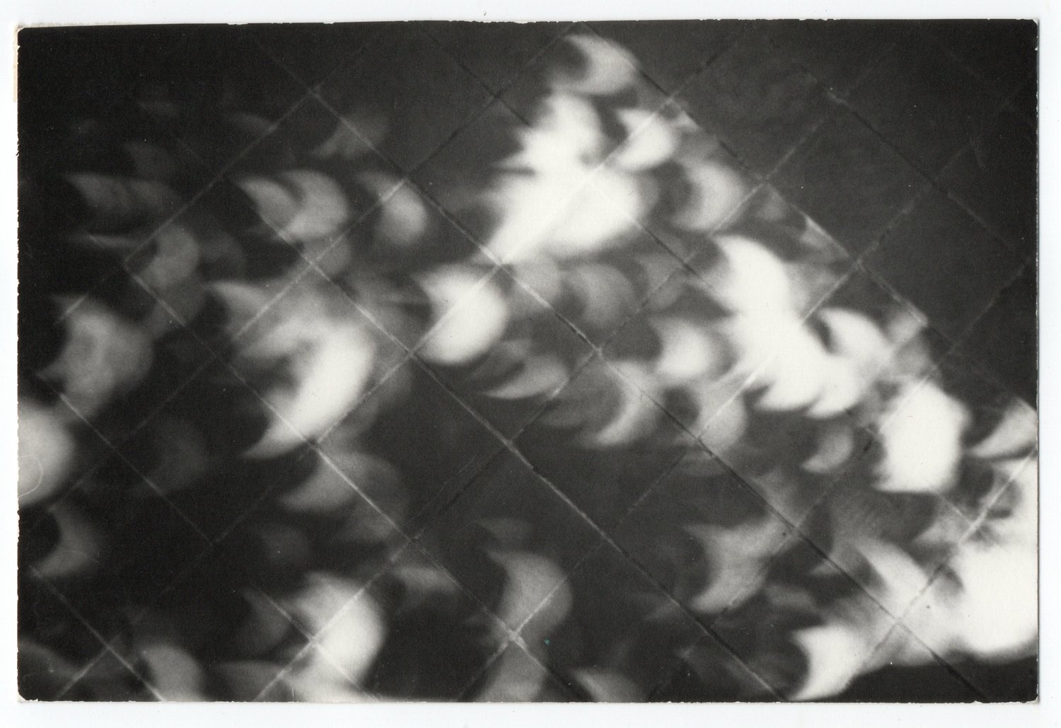 Image of Mr. Chapelle: Eclipse of 29 April 1976