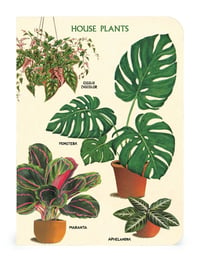 Image 2 of Cavallini & Co. House Plants Mini Notebook Set