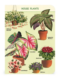Image 3 of Cavallini & Co. House Plants Mini Notebook Set