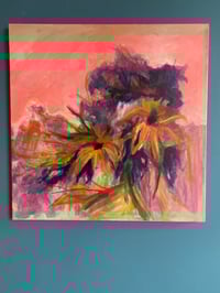 Image 4 of Black Eyed Susan 