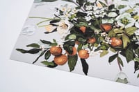 Image 3 of SPRING FLOWERS AND ORANGES - GICLÉE PRINT