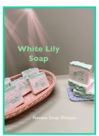 Desert Moon - White Lily & Aloe