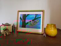 Image 3 of Hanging sloth