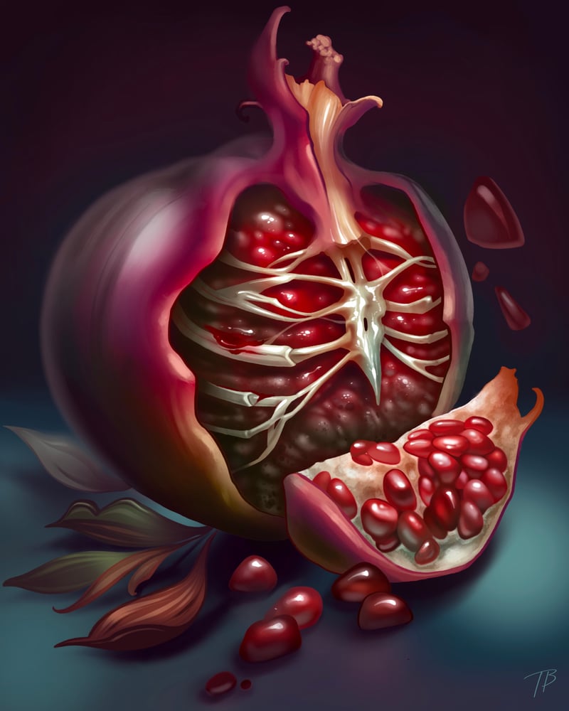 Image of Pomegranate McRib 8x10